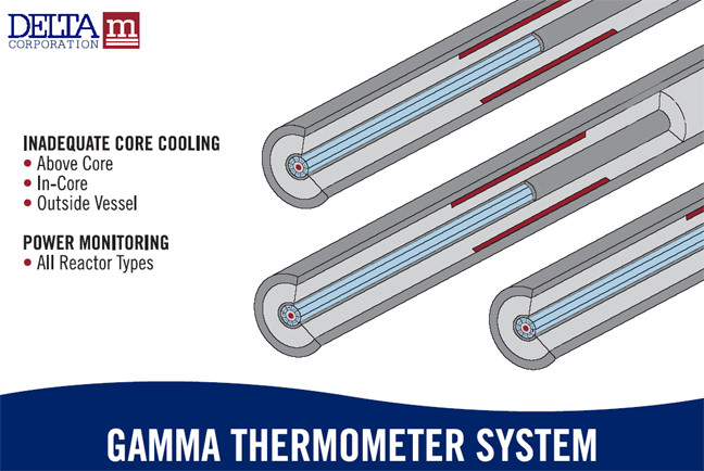 gamma-thermometer-system Delta M Corp.